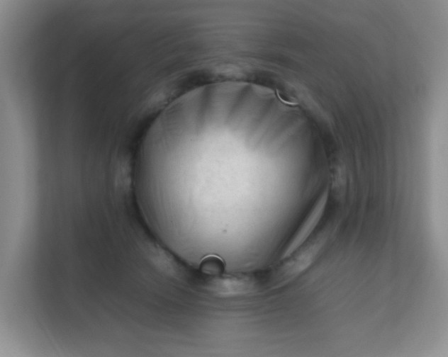 X0000111600466200907301450