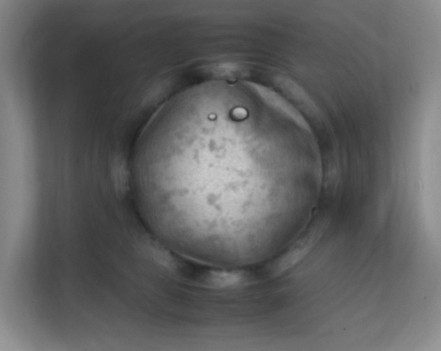 X0000111600469200907301450