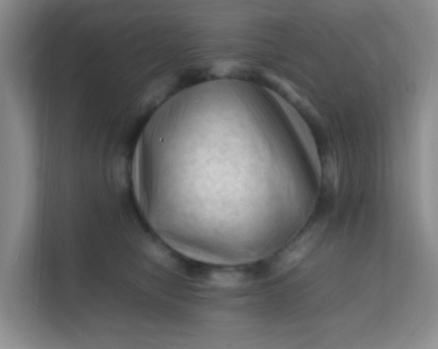 X0000111600470200907301450