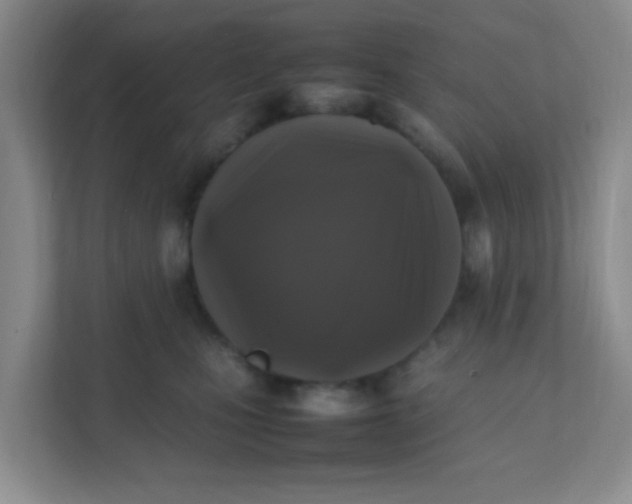 X0000111600471200907301450