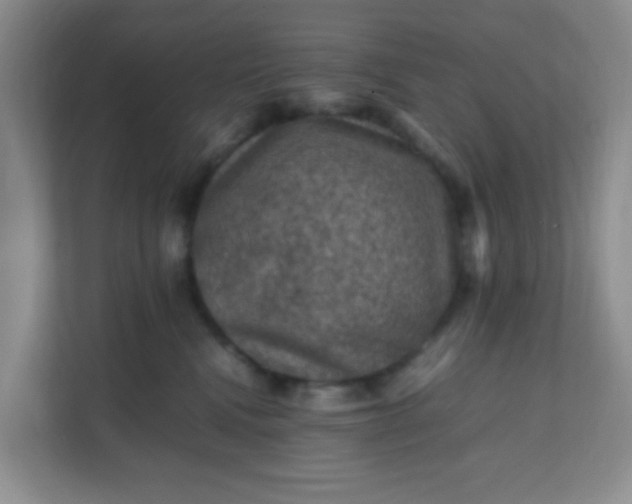 X0000111600472200907301450
