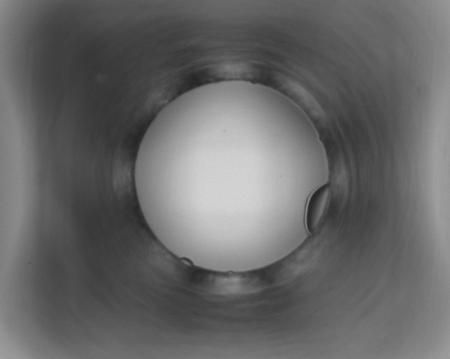 X0000111600473200907301450