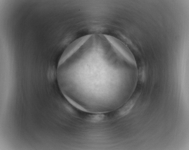 X0000111600474200907301450