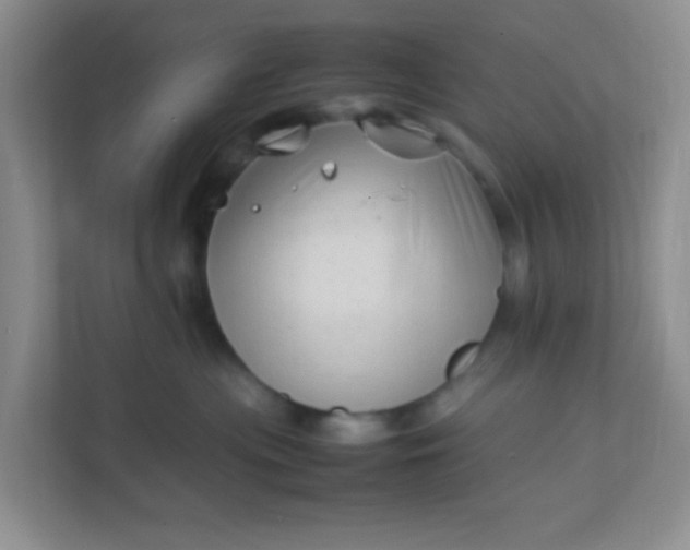 X0000111600477200907301450