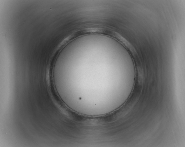 X0000111600482200907301450