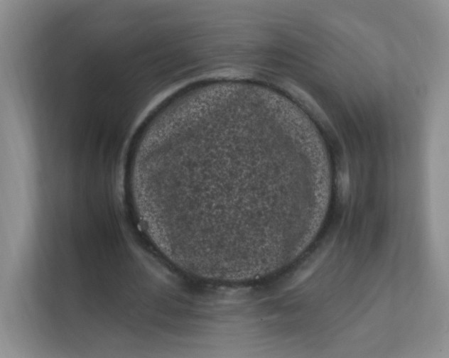 X0000111600484200907301450