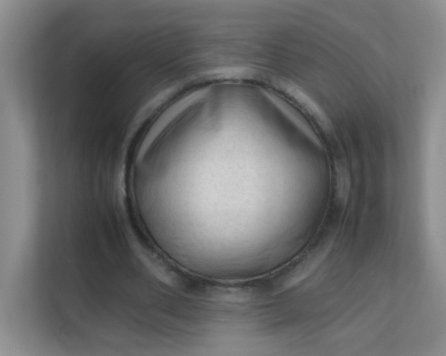 X0000111600486200907301450