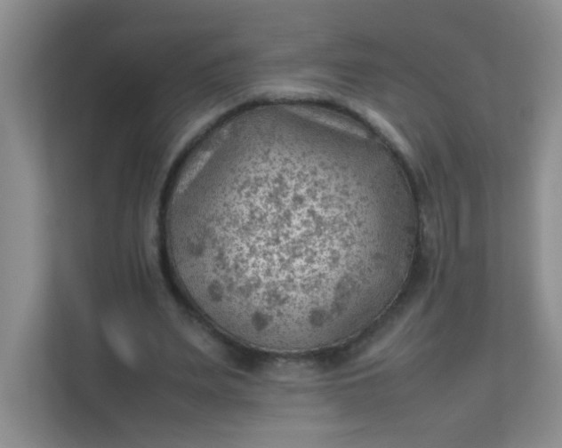 X0000111600487200907301450