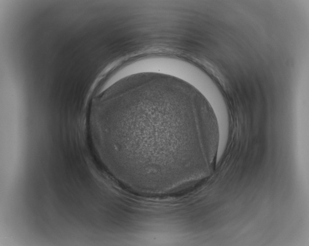 X0000111600488200907301449
