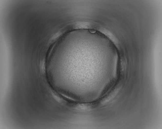 X0000111600489200907301449