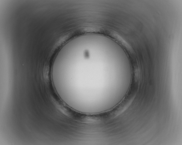 X0000111600490200907301449