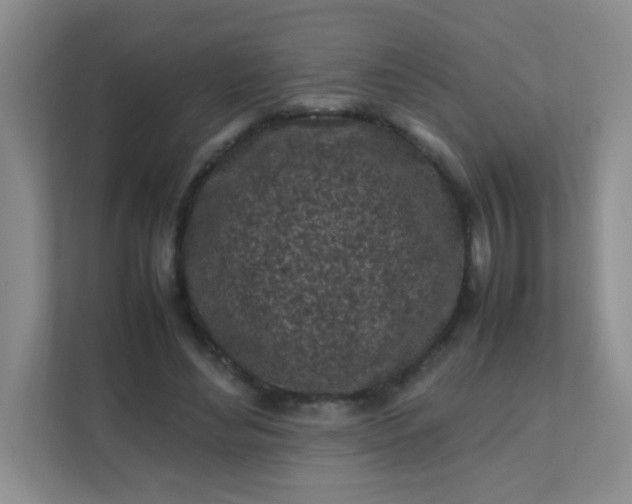 X0000111600492200907301449