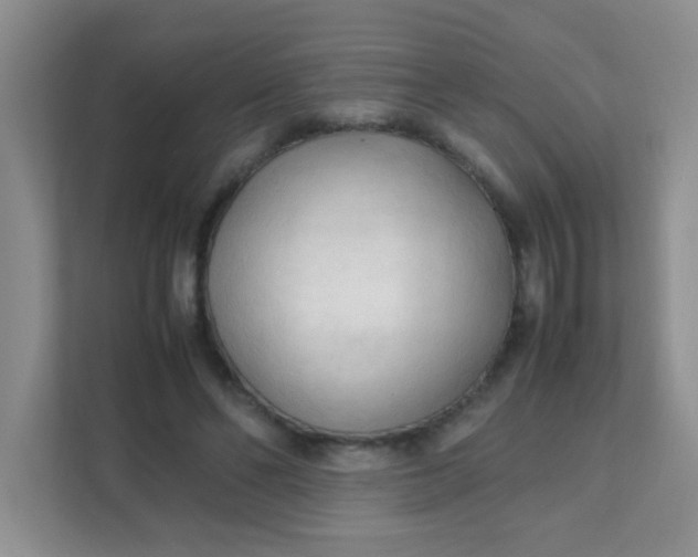 X0000111600494200907301449