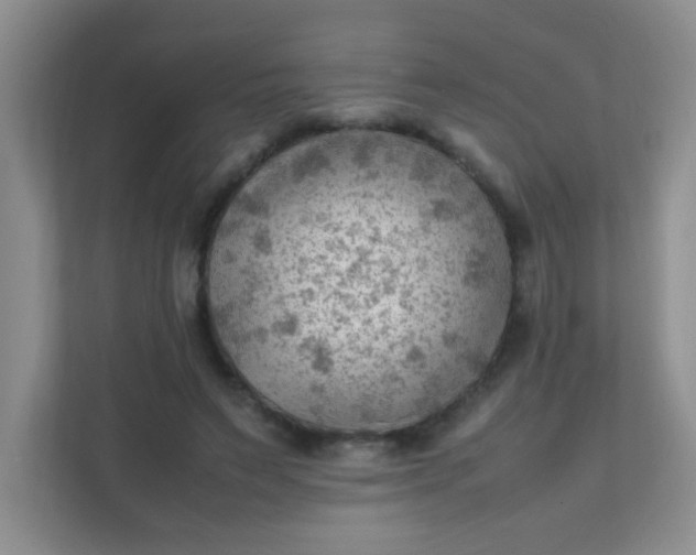 X0000111600495200907301449