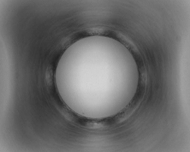 X0000111600498200907301449