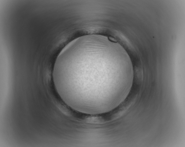 X0000111600499200907301449