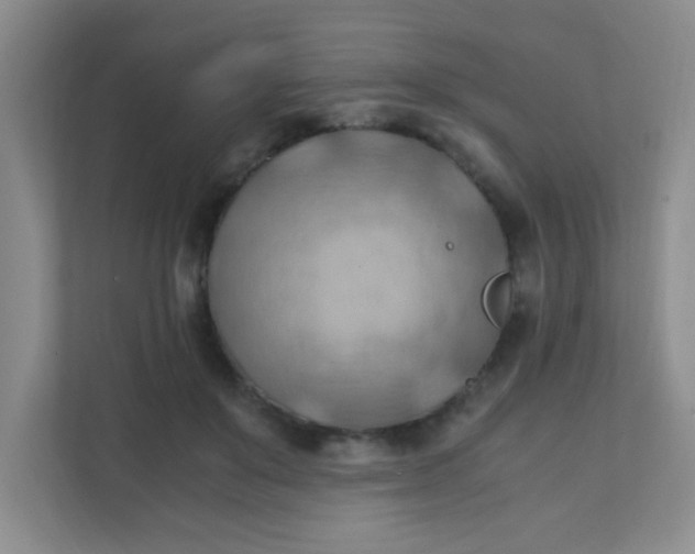X0000111600503200907301449