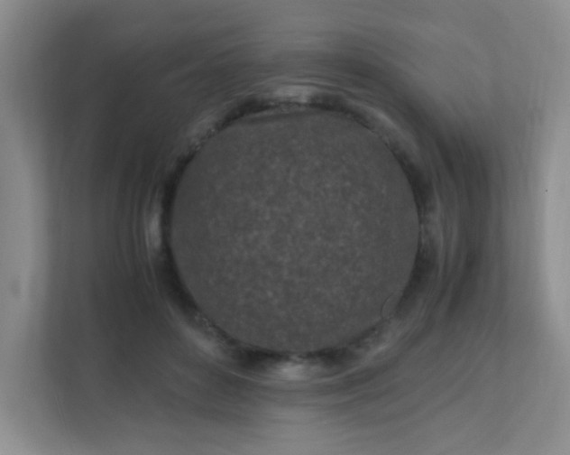 X0000111600504200907301449