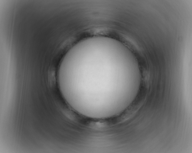 X0000111600506200907301449