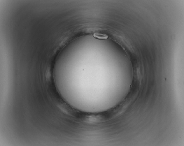 X0000111600508200907301449