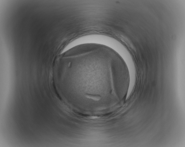 X0000111600509200907301449