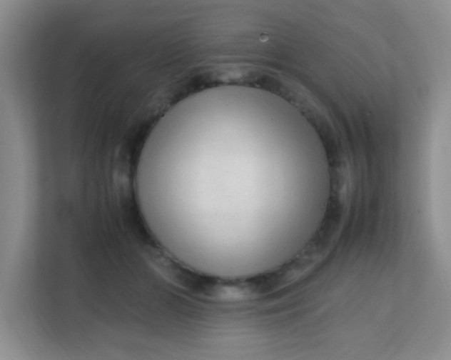 X0000111600510200907301449