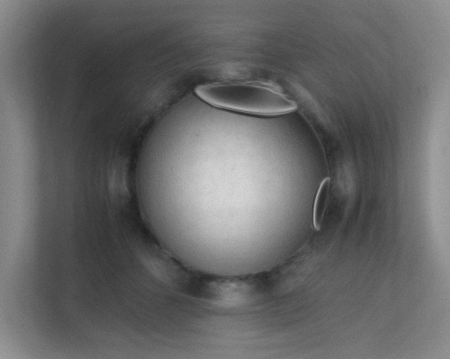 X0000111600512200907301449