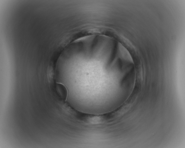 X0000111600513200907301449