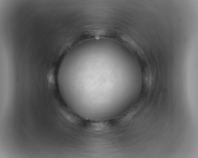 X0000111600516200907301449
