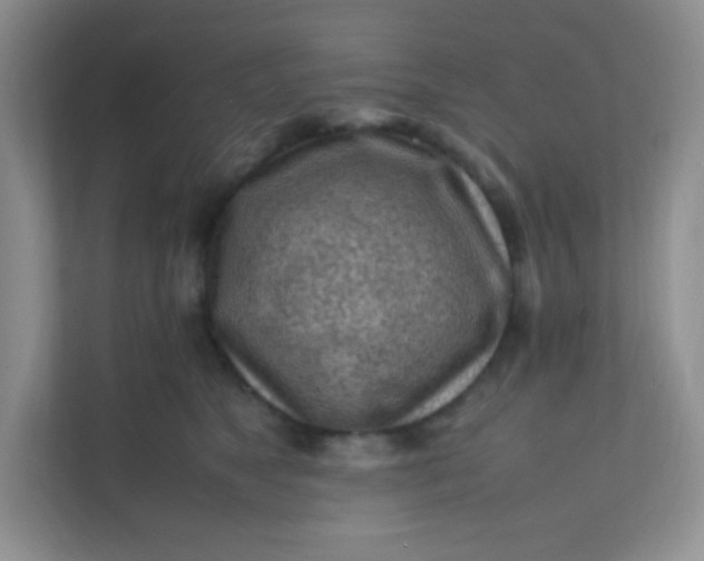 X0000111600517200907301449