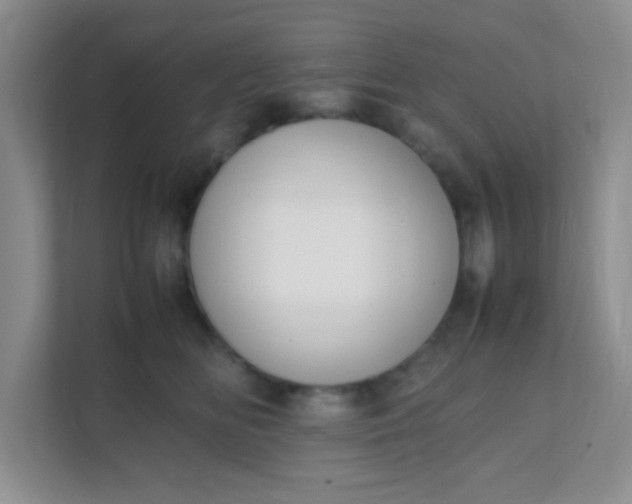 X0000111600518200907301449
