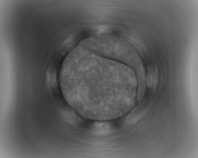 X0000111600520200907301449