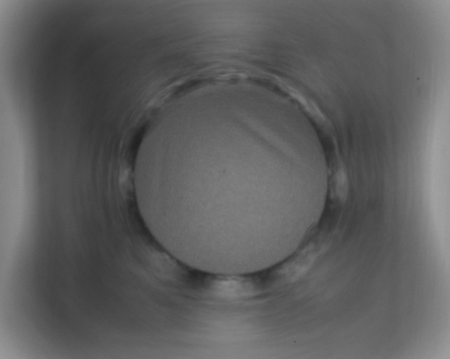 X0000111600521200907301449