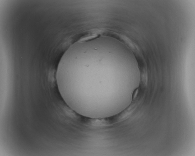 X0000111600525200907301449
