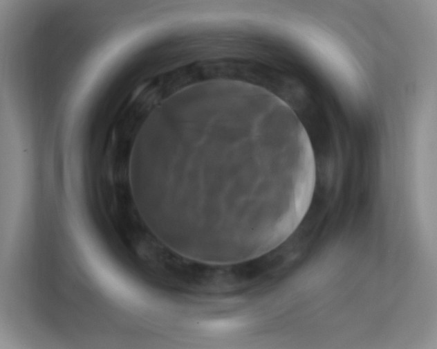 X0000111600526200907301449