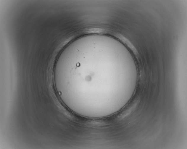X0000111600529200907301448