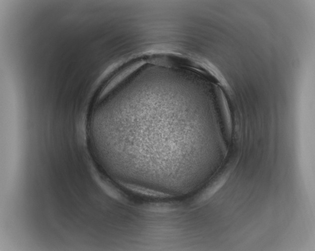 X0000111600530200907301448