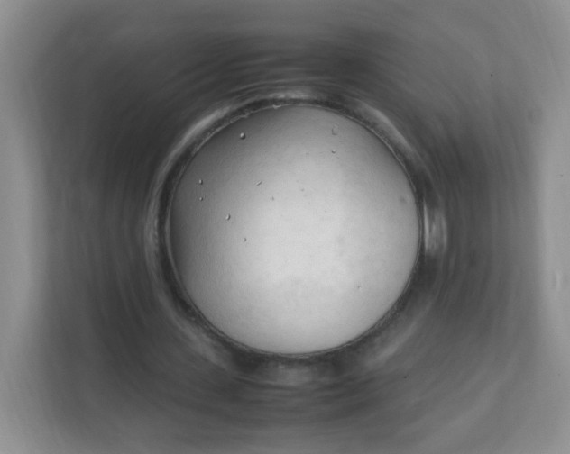 X0000111600531200907301448