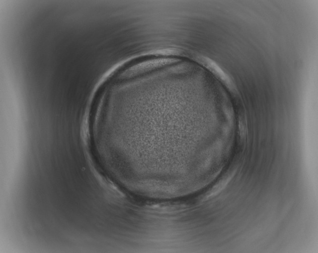 X0000111600532200907301448
