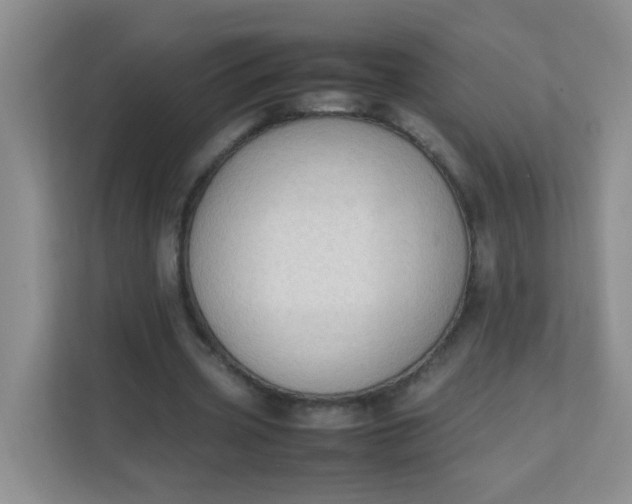 X0000111600533200907301448