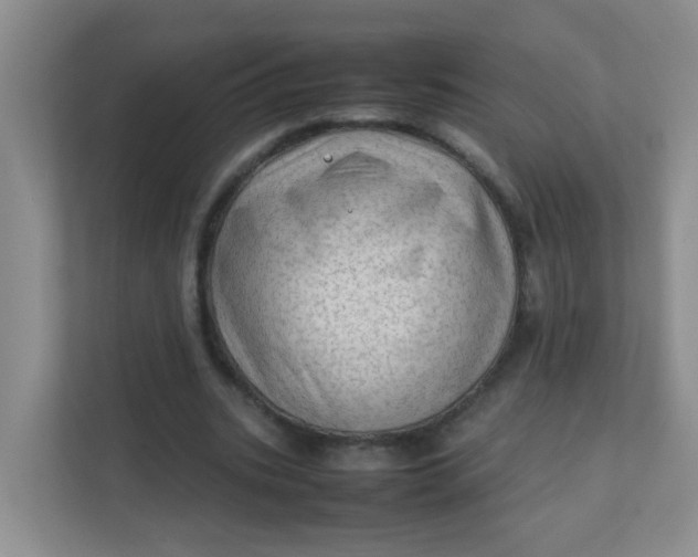 X0000111600535200907301448