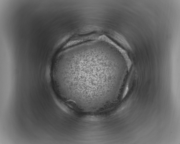 X0000111600538200907301448