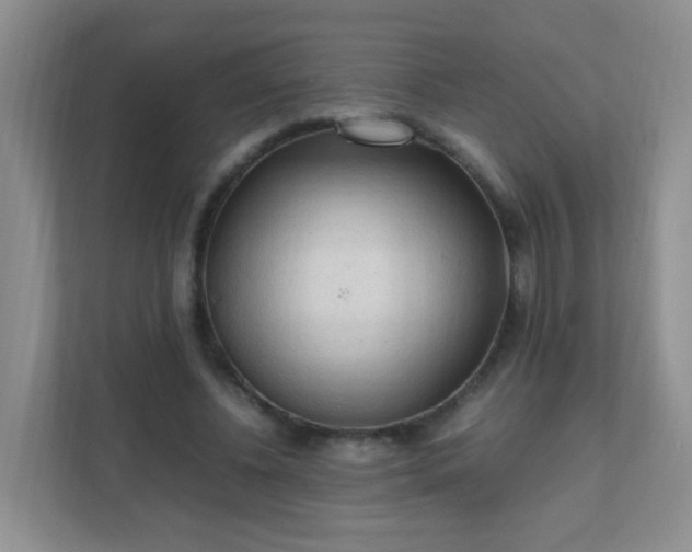 X0000111600540200907301448
