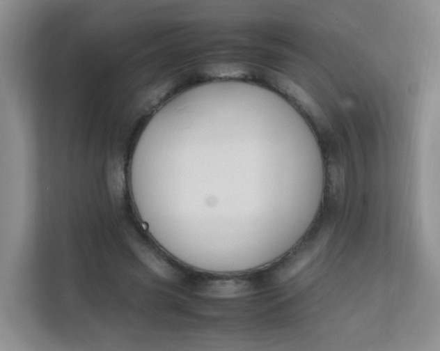 X0000111600541200907301449