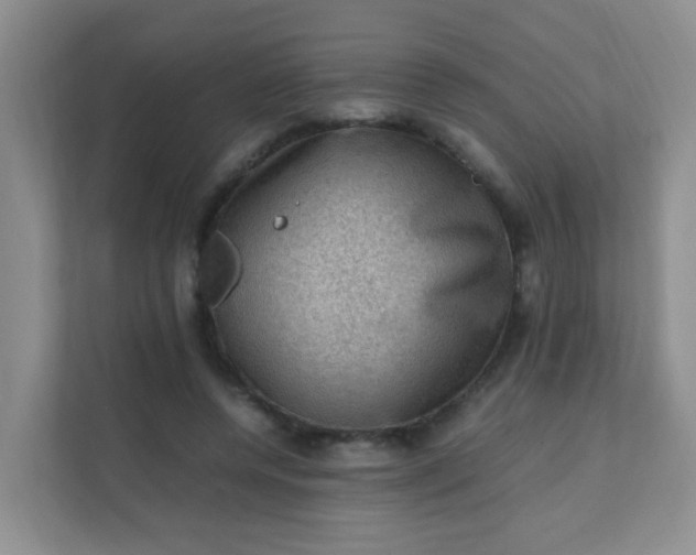 X0000111600544200907301449