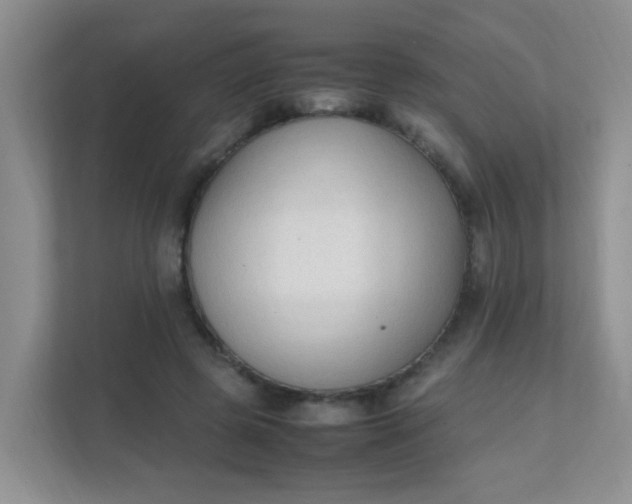 X0000111600545200907301449