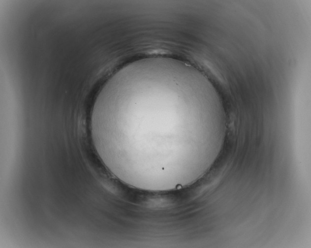 X0000111600547200907301449