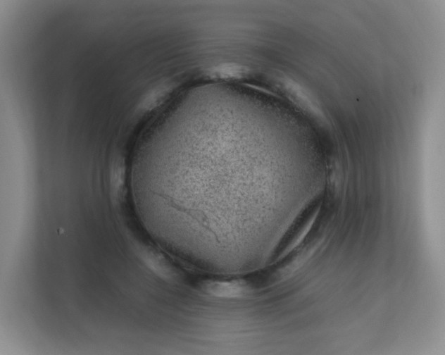X0000111600548200907301449