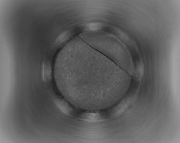 X0000111600552200907301449