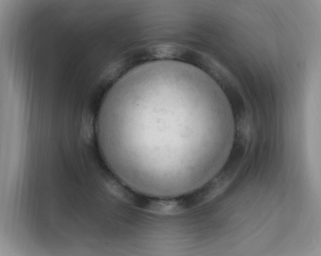 X0000111600554200907301449